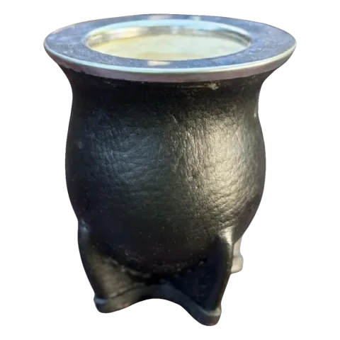 Mate Camionero